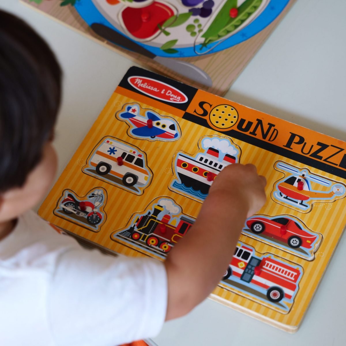 NATUREZA E SOCIEDADE 3